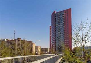 东营建筑塔吊租赁安拆一体化